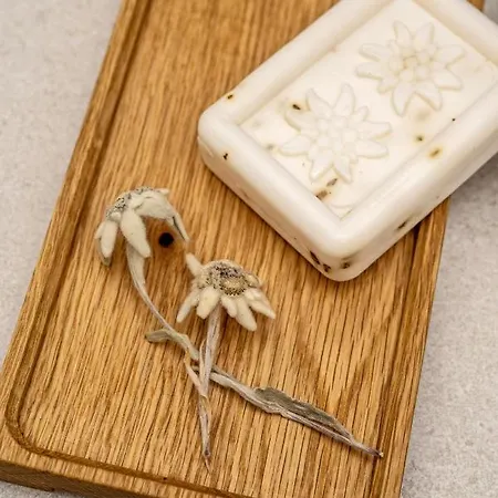 Dependance Dachsteinperle Apartment