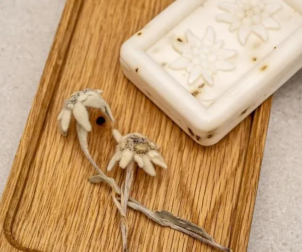 Dependance Dachsteinperle דירה